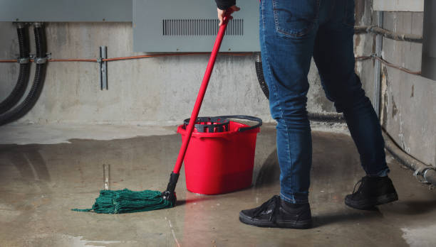 Best Residential water damage restoration  in Spring Valley Village, TX