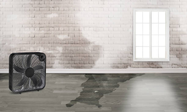 Fire Damage Restoration in Spring Valley Village, TX