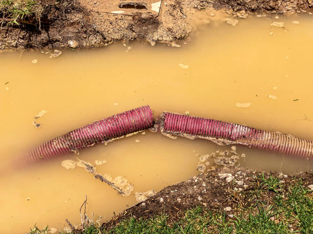 Best 24-hour water damage restoration  in Spring Valley Village, TX